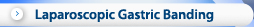 Laparoscopic Gastric Banding