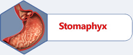 Stomaphyx